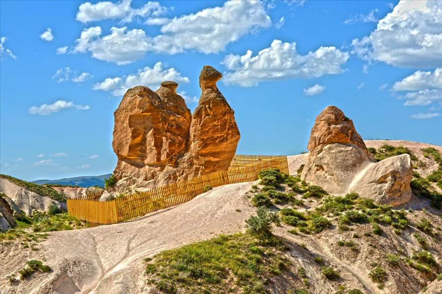 The camel-shaped rock formation in Devrent Valley, Cappadocia The camel-shaped rock formation in Devrent Valley, Cappadocia